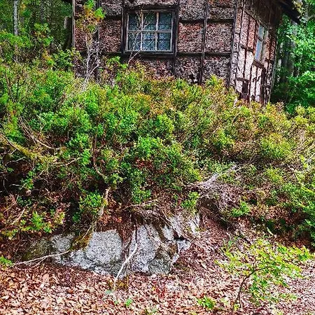 Degenhart Vakantiehuis