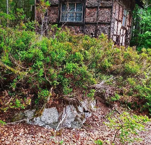 Degenhart Feriehus
